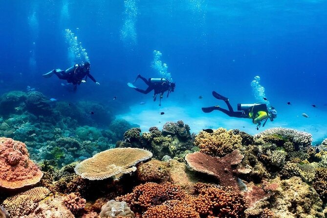 Cairns: Tandem Skydive Experience over Reef & Rainforest - The four named viewing areas and what they mean
