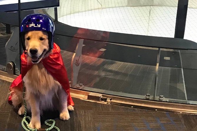 Houston Memorial Indoor Skydiving with 2 Flights & Personalized Certificate - The second flight is where the value improves