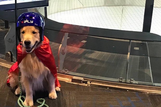 Minneapolis Indoor Skydiving Admission with 2 Flights & Personalized Certificate - How this compares with outdoor skydiving