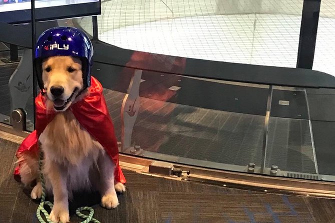 Oceanside Indoor Skydiving Experience with 2 Flights & Personalized Certificate - A good choice for nervous first-time flyers