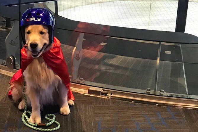 Paramus Indoor Skydiving Experience with 2 Flights & Personalized Certificate - The second flight gives you a better chance