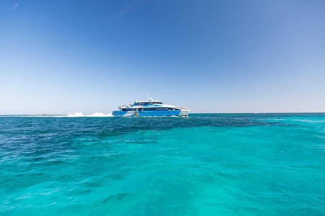 Rottnest Island Skydive Including Round Trip Ferry from Fremantle - Who should book this Rottnest skydive?