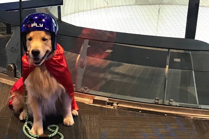 San Francisco Indoor Skydiving with 2 Flights & Personalized Certificate - Practical clothing and timing advice